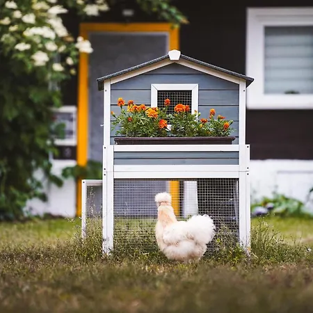 Pet Friendly In Rzewnie *